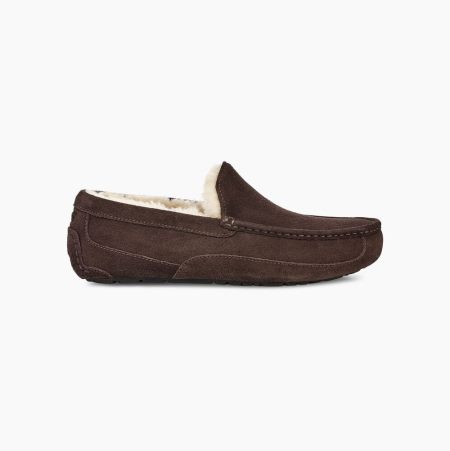 UGG Ascot Brown Slippers for Men (IKPL73184)